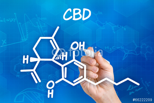 cbd cannabinoids