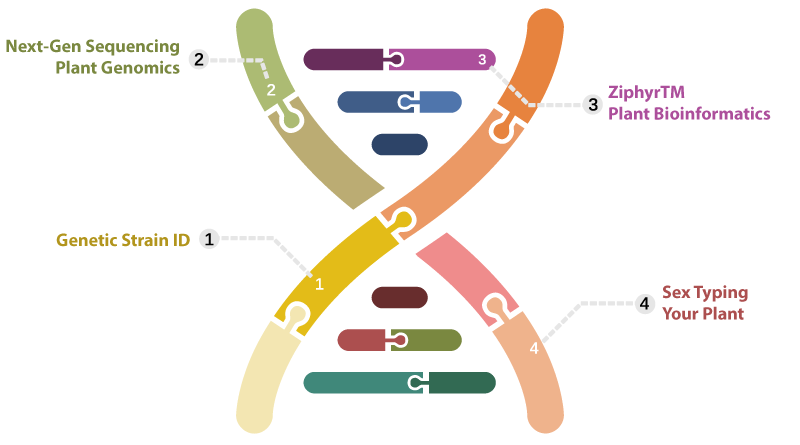 genomics